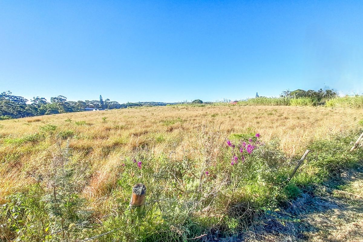 Prime Land on Gonubie Main Road - Ideal for Business or Residential Development - Photo 3