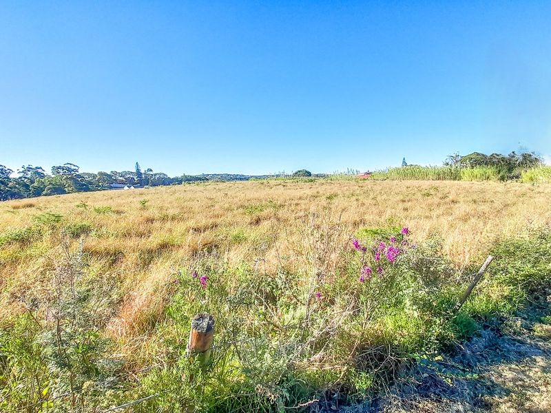 Prime Gonubie Main Road Plot — Rare Land, Endless Possibilities - Photo 5