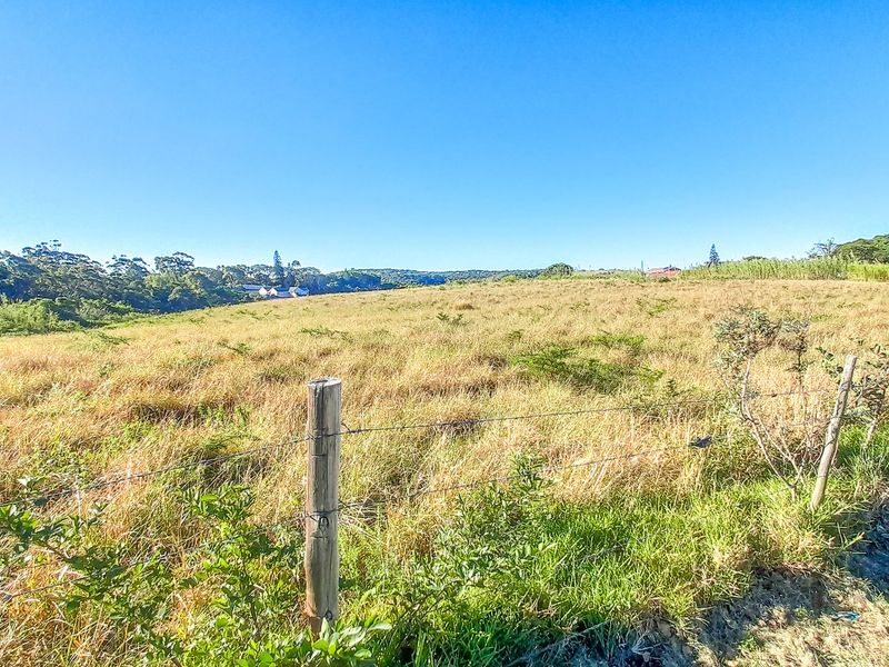 Prime Gonubie Main Road Plot — Rare Land, Endless Possibilities - Photo 4