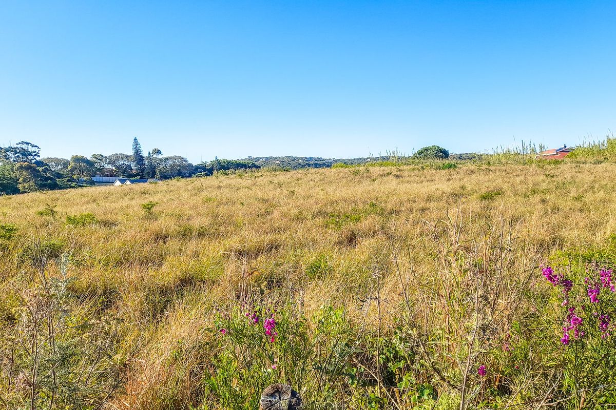 A wide-angle view of a vacant residential plot featuring natural grass and vegetation under a clear blue sky.