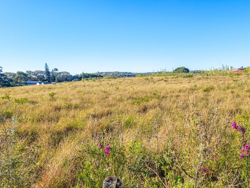 Prime Gonubie Main Road Plot — Rare Land, Endless Possibilities - Photo 2