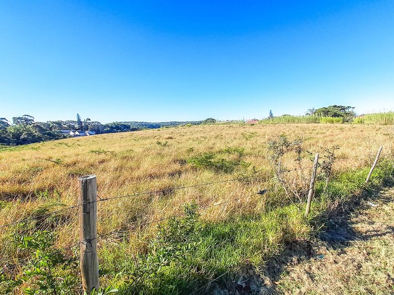 Prime Gonubie Main Road Plot — Rare Land, Endless Possibilities - Photo 6
