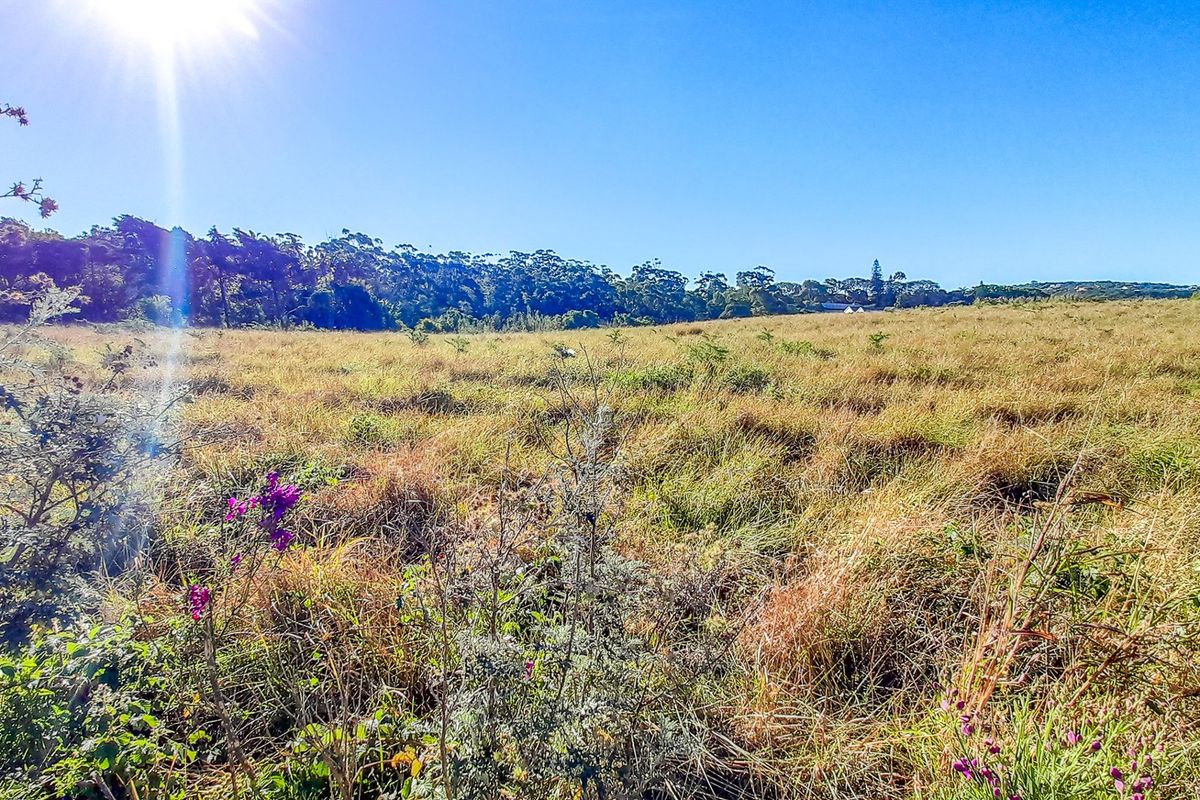 A wide-angle view of a vacant residential plot featuring natural grass and surrounding vegetation under a clear blue sky.