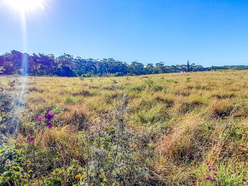 Prime Gonubie Main Road Plot — Rare Land, Endless Possibilities - Photo 3