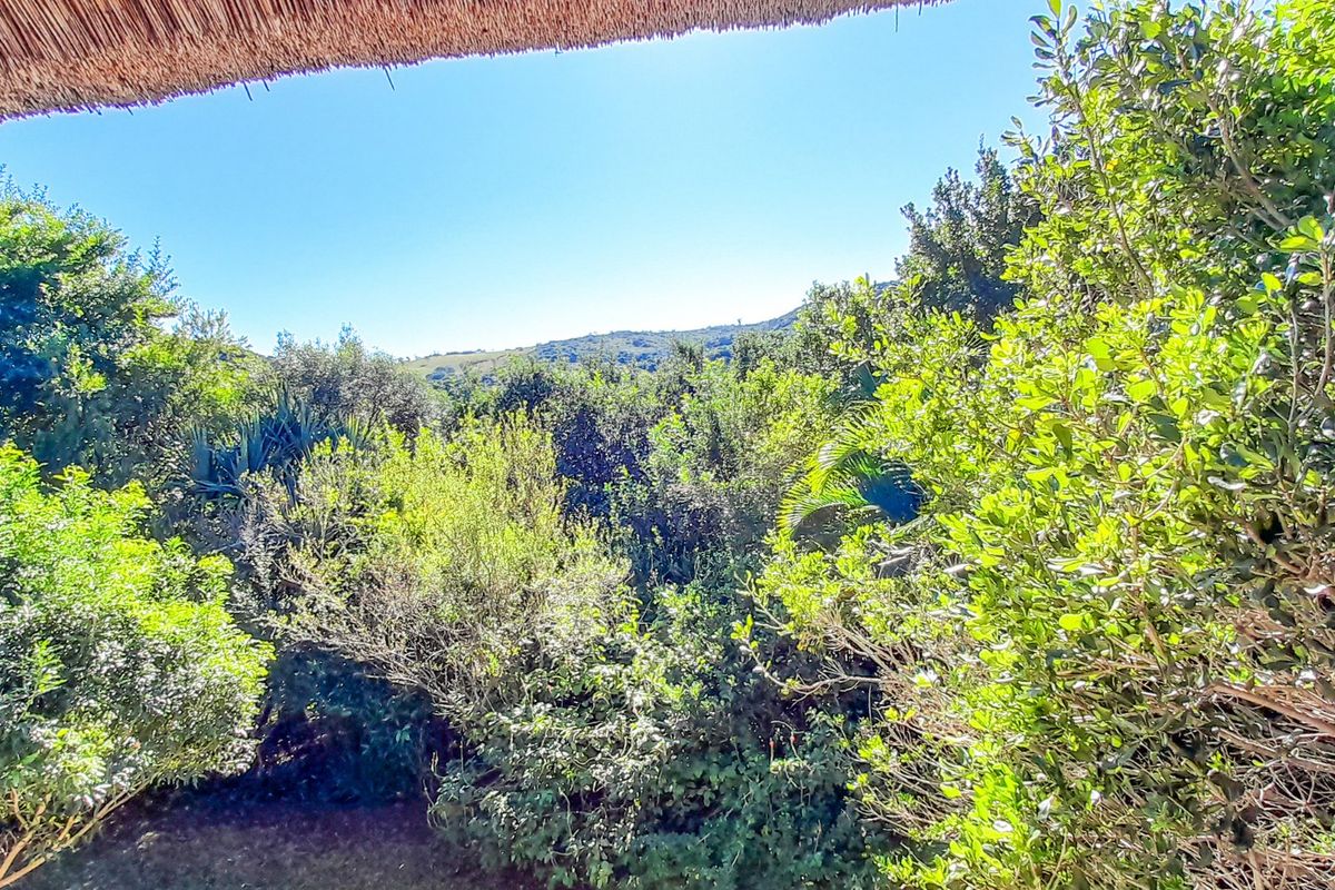 A Gentle Slice of Gonubie Life — With Income Potential by the River - Photo 4