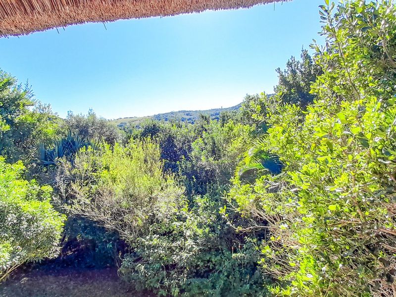 A Gentle Slice of Gonubie Life — With Income Potential by the River - Photo 4