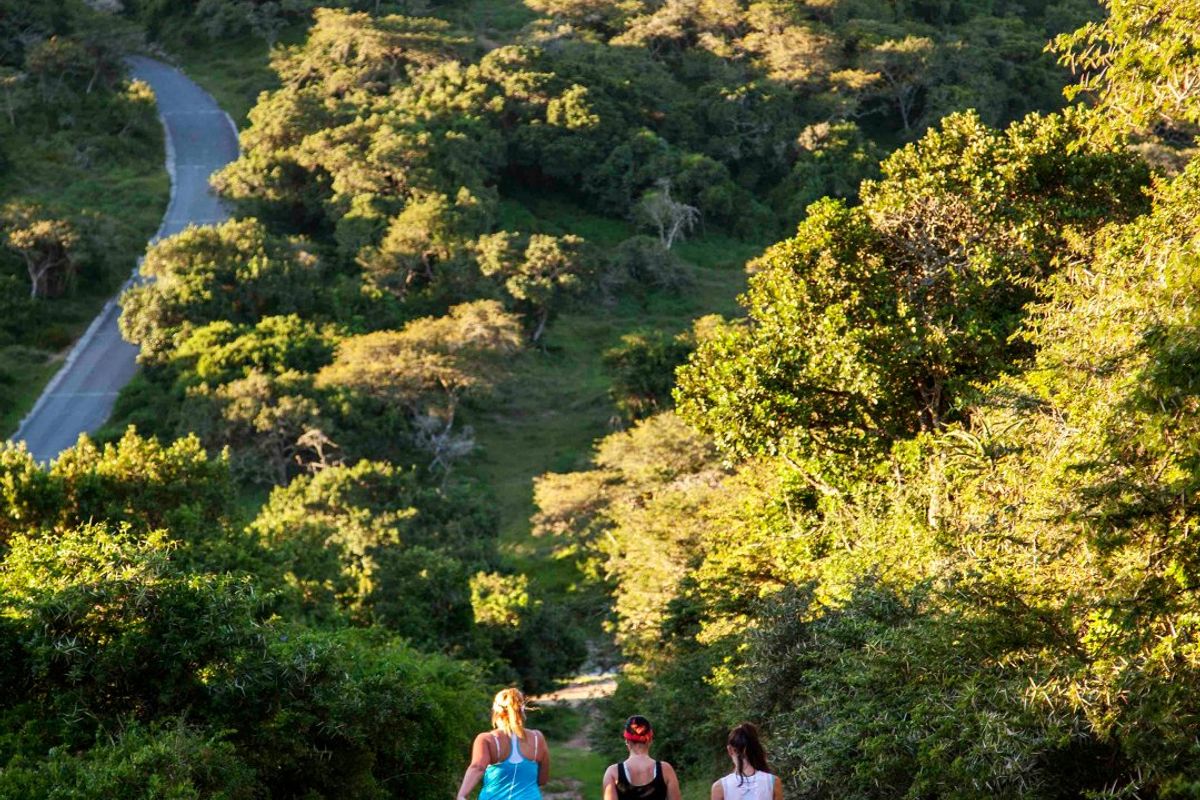 0 Bed Vacant Land in Royalston Residential Estate & Wildlife Reserve for Sale - Photo 5