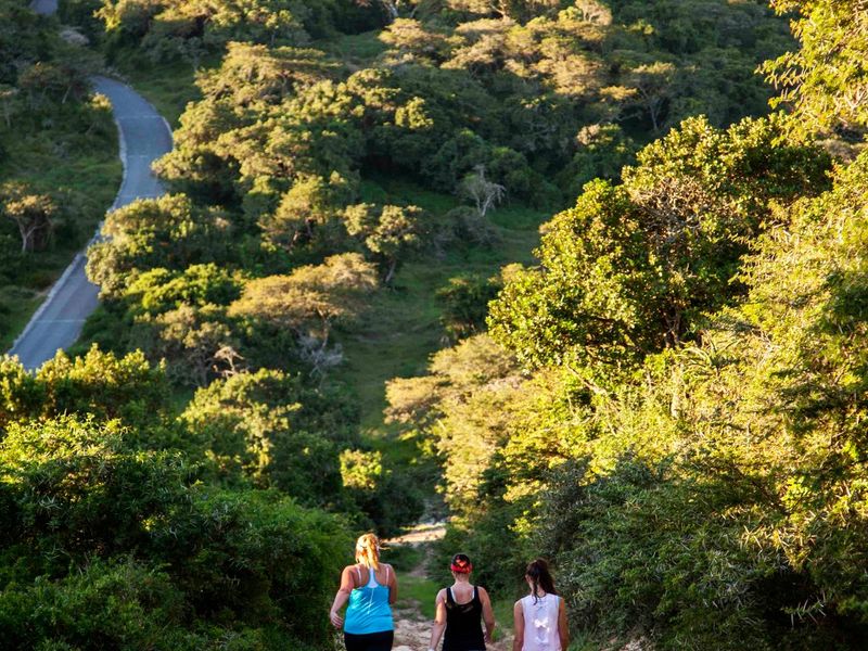 0 Bed Vacant Land in Royalston Residential Estate & Wildlife Reserve for Sale - Photo 5