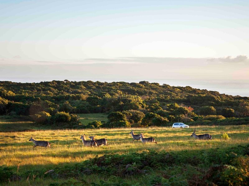 0 Bed Vacant Land in Royalston Residential Estate & Wildlife Reserve for Sale - Photo 10