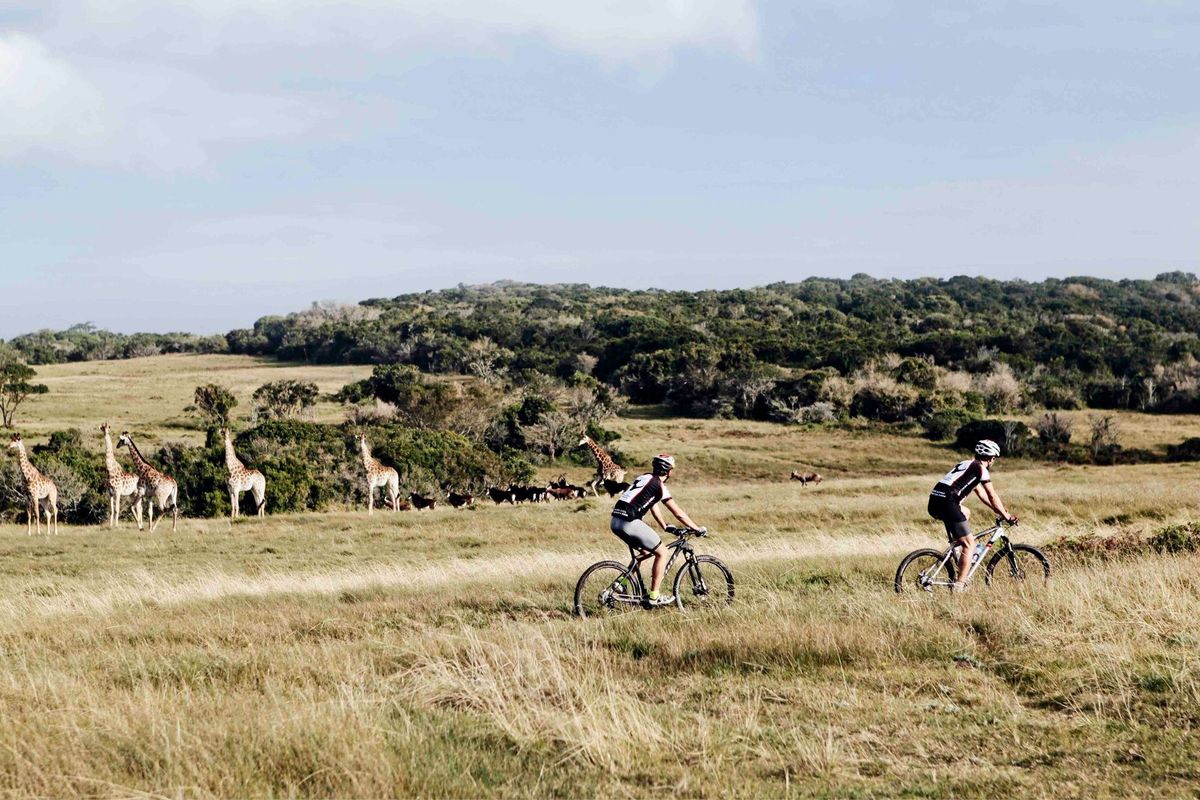 0 Bed Vacant Land in Royalston Residential Estate & Wildlife Reserve for Sale - Photo 3