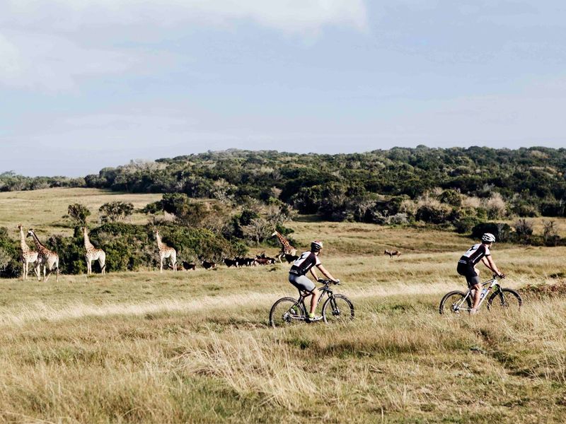 0 Bed Vacant Land in Royalston Residential Estate & Wildlife Reserve for Sale - Photo 3