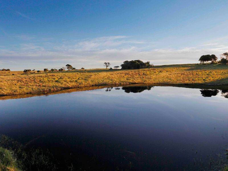 0 Bed Vacant Land in Royalston Residential Estate & Wildlife Reserve for Sale - Photo 6