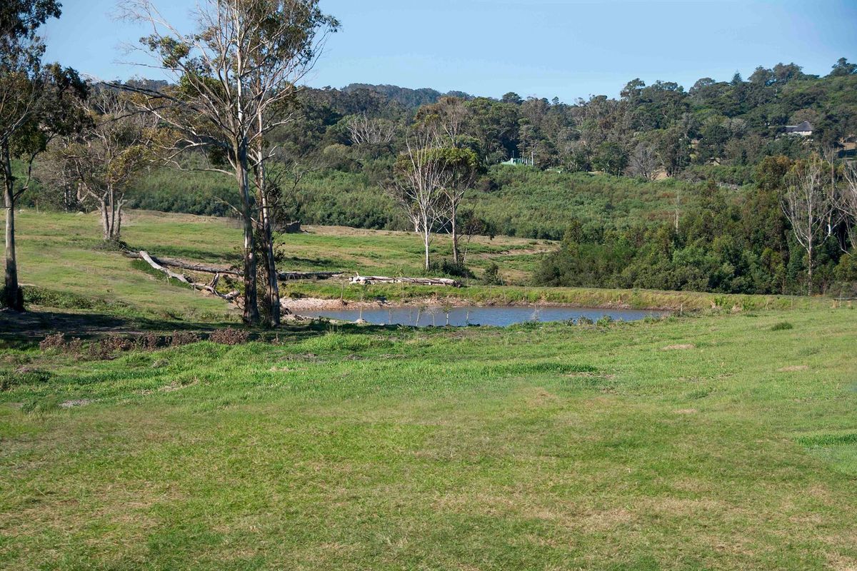 0 Bed Vacant Land in Royalston Residential Estate & Wildlife Reserve for Sale - Photo 4