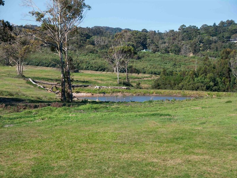 0 Bed Vacant Land in Royalston Residential Estate & Wildlife Reserve for Sale - Photo 4