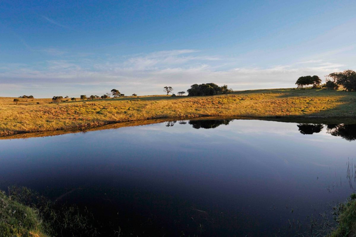 0 Bed Vacant Land in Royalston Residential Estate & Wildlife Reserve for Sale - Photo 5