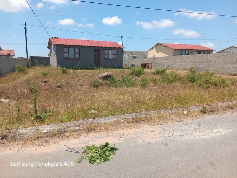 Front view of a detached house featuring a corrugated metal roof and concrete block boundary walls, situated on a large, undeveloped plot.