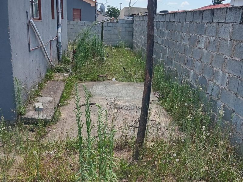 A rear exterior area featuring a concrete boundary wall, paved section, and overgrown garden space requiring landscaping and maintenance.