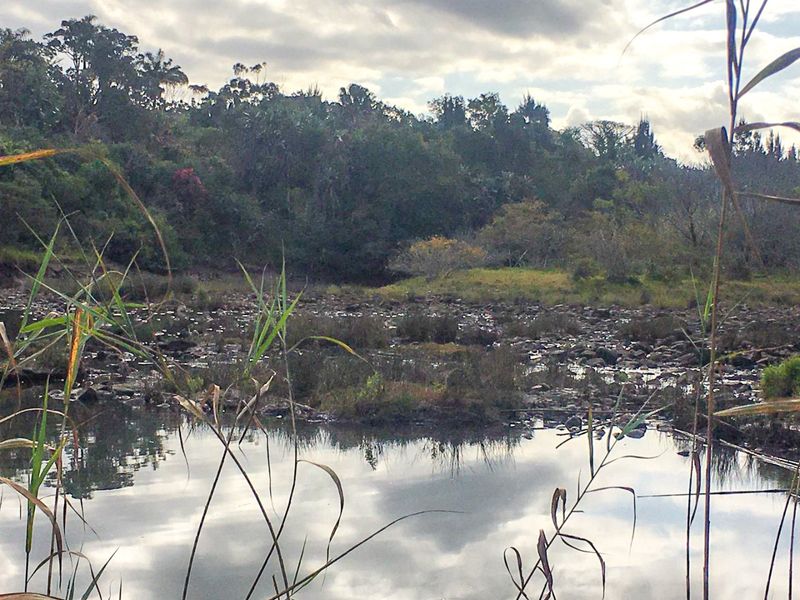 Some places don’t just offer land—they offer a lifestyle. And this riverfront haven in Gonubie North is one of them. - Photo 9