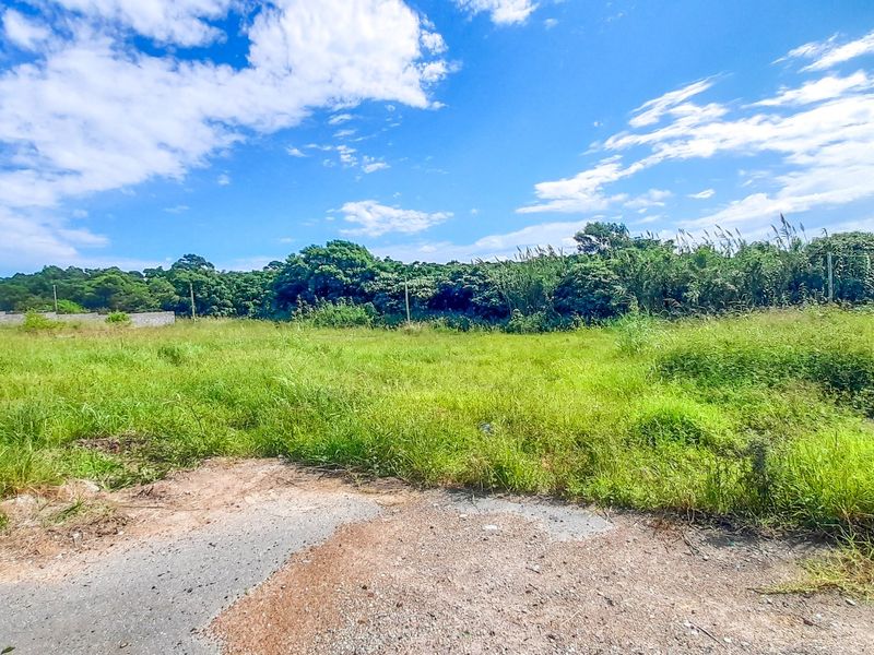 Investor’s Goldmine in Haven Hills – Unlock 4.2 Hectares of Prime Development Land - Photo 9