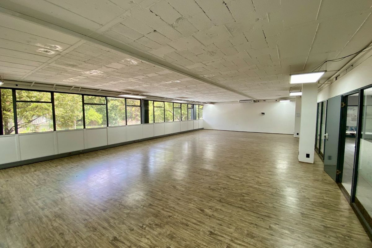 A spacious, empty open-plan office area featuring large windows, wood-look flooring, and a suspended ceiling with integrated lighting.
