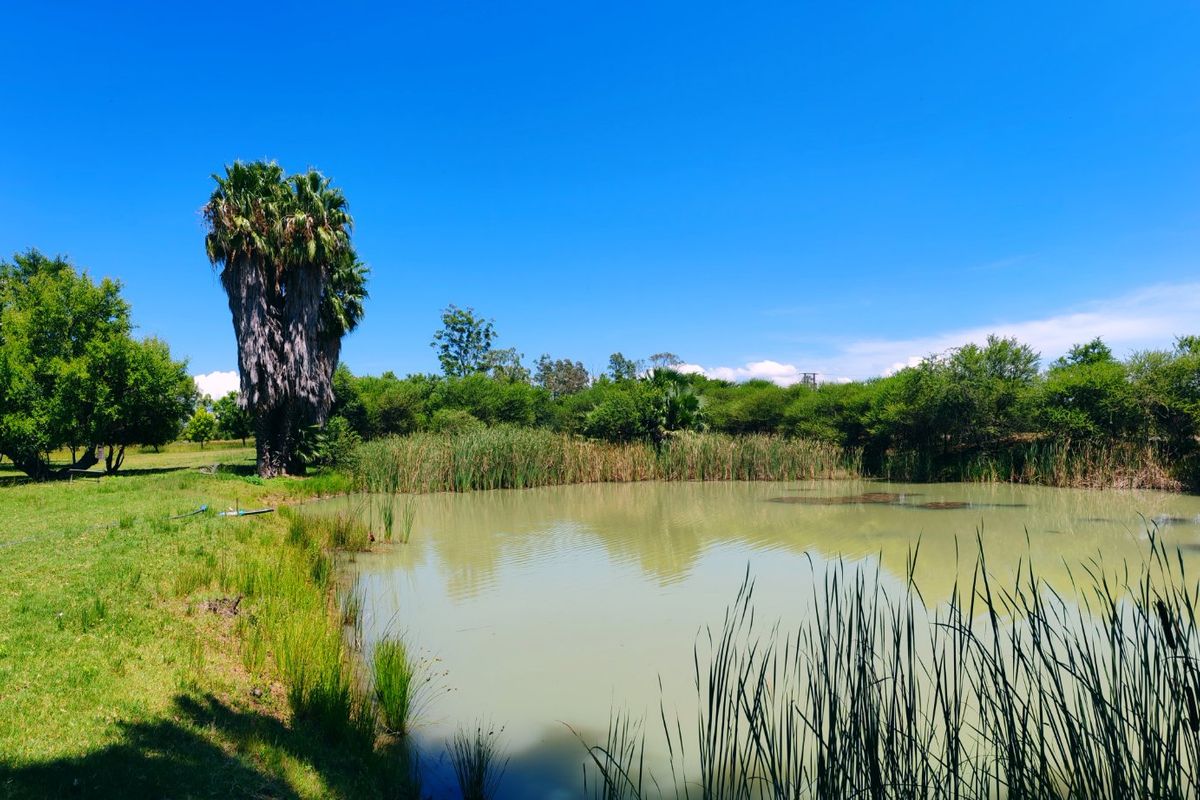 Farm for Sale in Bela Bela - Photo 4