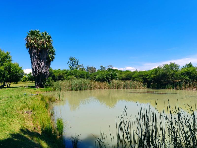 Farm for Sale in Bela Bela - Photo 4