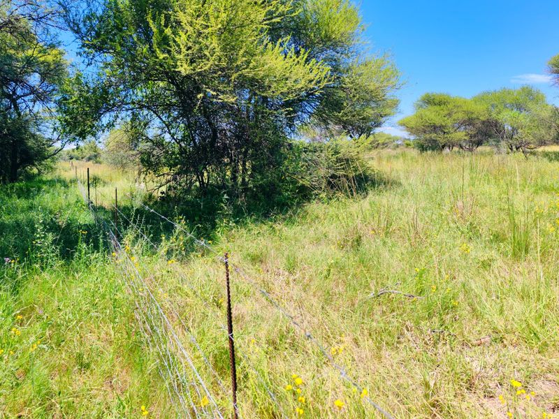 Farm for Sale in Bela Bela - Photo 9