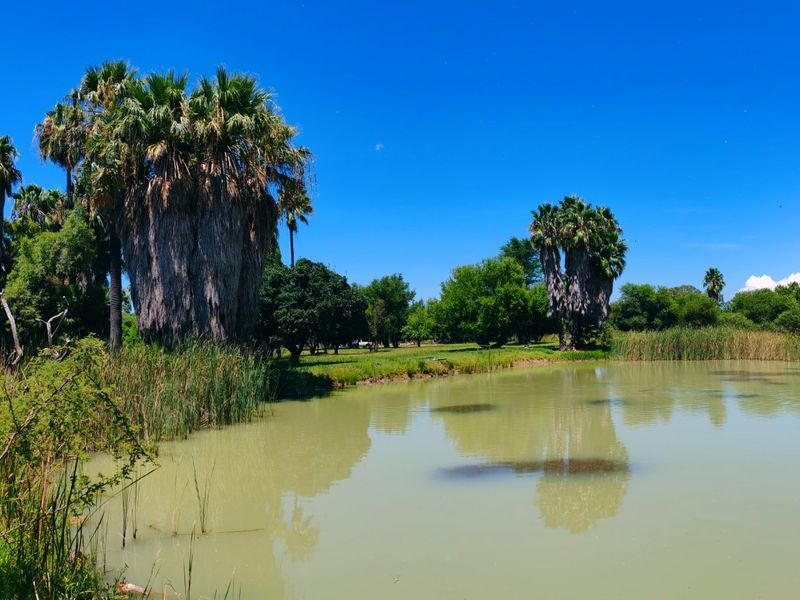 Farm for Sale in Bela Bela - Photo 6