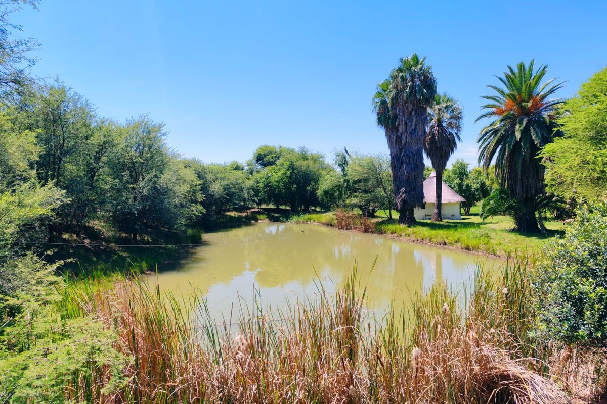 Farm for Sale in Bela Bela - Photo 5