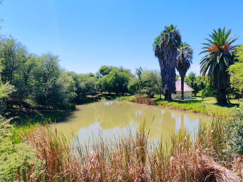 Farm for Sale in Bela Bela - Photo 5