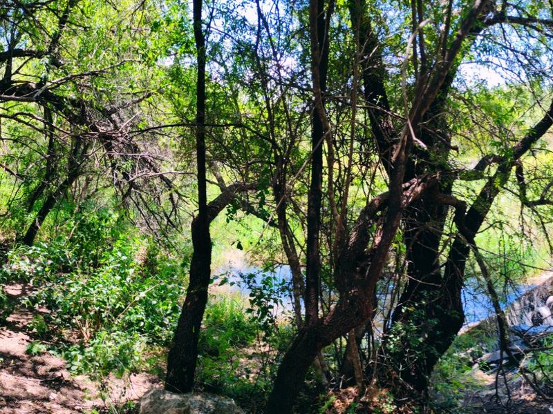 Farm for Sale in Bela Bela - Photo 8