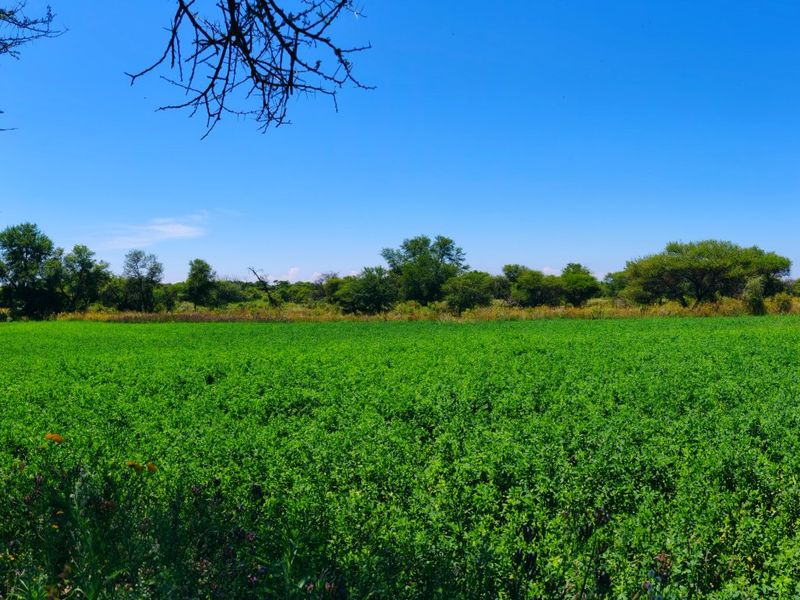 Farm for Sale in Bela Bela - Photo 7