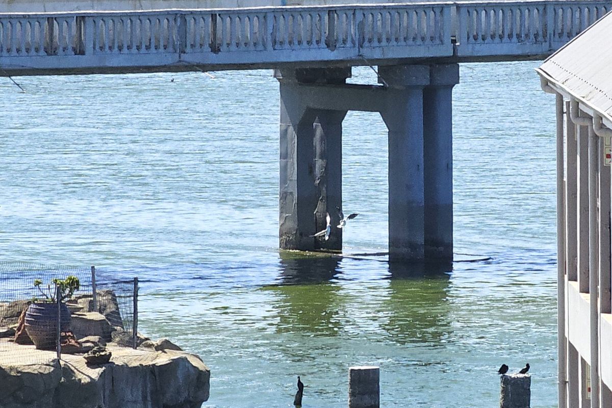 PRIME HOSPITALITY INVESTMENT. FULLY OPERATIONAL RIVERSIDE & COASTAL HOTEL - Photo 4