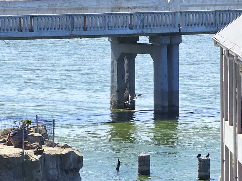 PRIME HOSPITALITY INVESTMENT. FULLY OPERATIONAL RIVERSIDE & COASTAL HOTEL - Photo 4