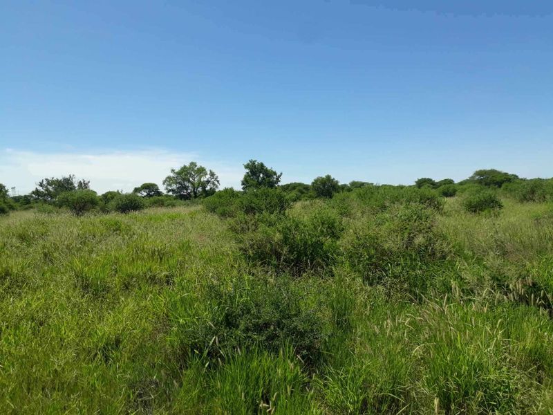 Your Dream Home Starts Here – 1 035m2 Vacant Stand - Photo 3