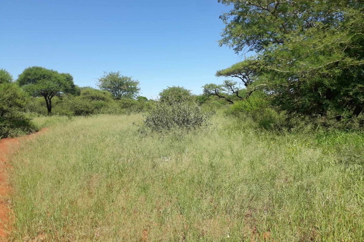 Your Dream Home Starts Here – 1 035m2 Vacant Stand - Photo 5