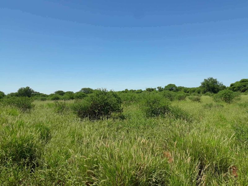 Your Dream Home Starts Here – 1 035m2 Vacant Stand - Photo 2