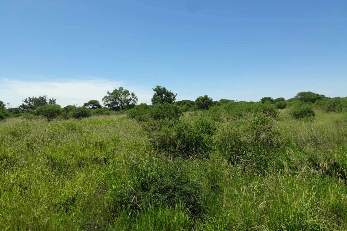 A view of the vacant residential land featuring natural grassland and native vegetation under a clear blue sky.