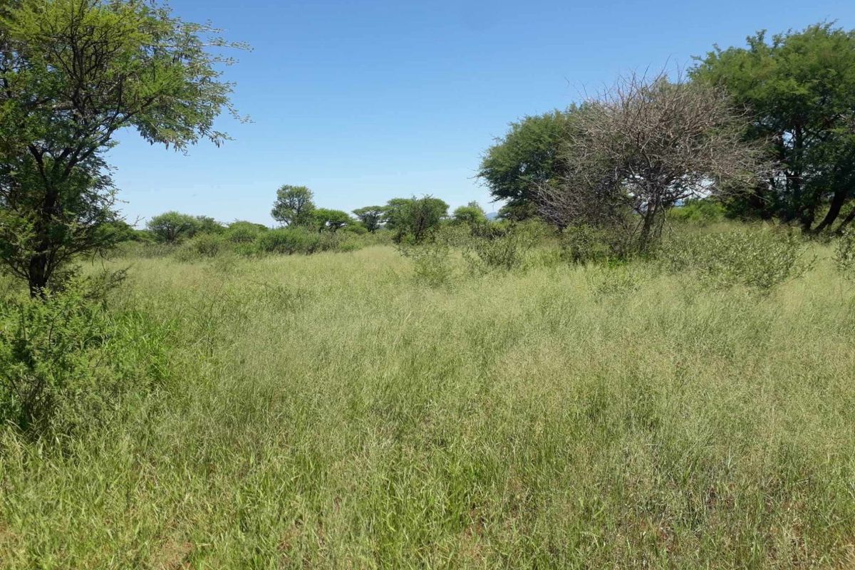 A view of the vacant residential land featuring natural grass cover and established native trees under a clear blue sky.