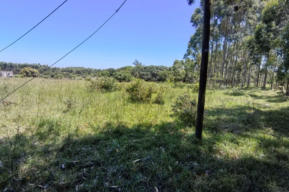 0 Bed Vacant Land in Mzingazi for Sale - Photo 4