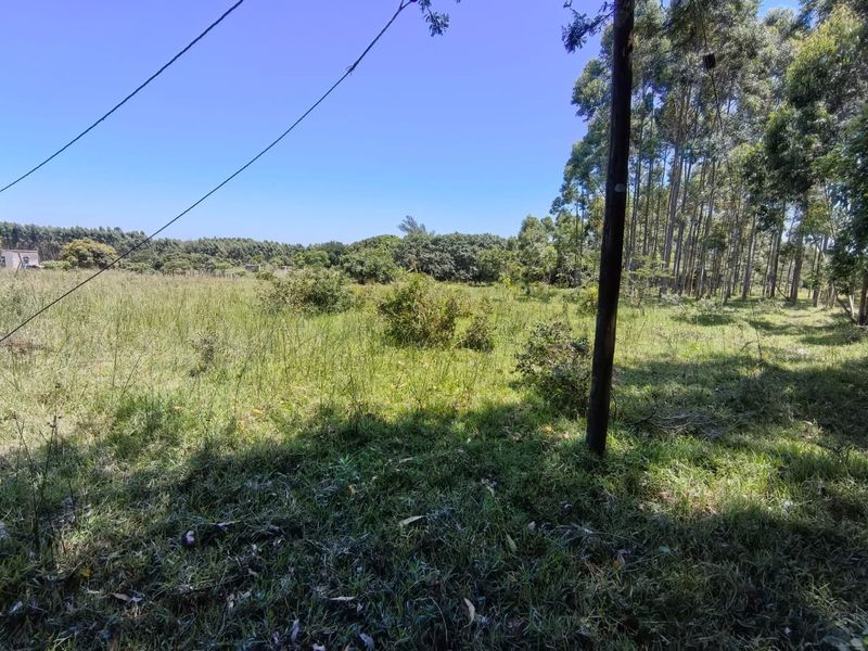 0 Bed Vacant Land in Mzingazi for Sale - Photo 4