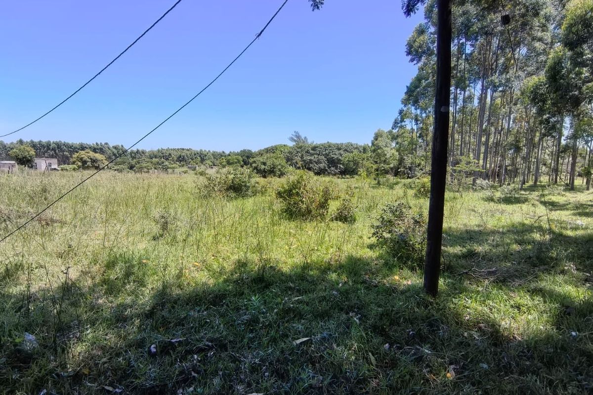 0 Bed Vacant Land in Mzingazi for Sale - Photo 3