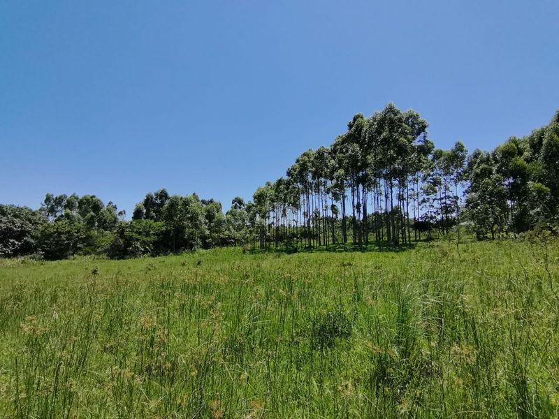0 Bed Vacant Land in Mzingazi for Sale - Photo 10