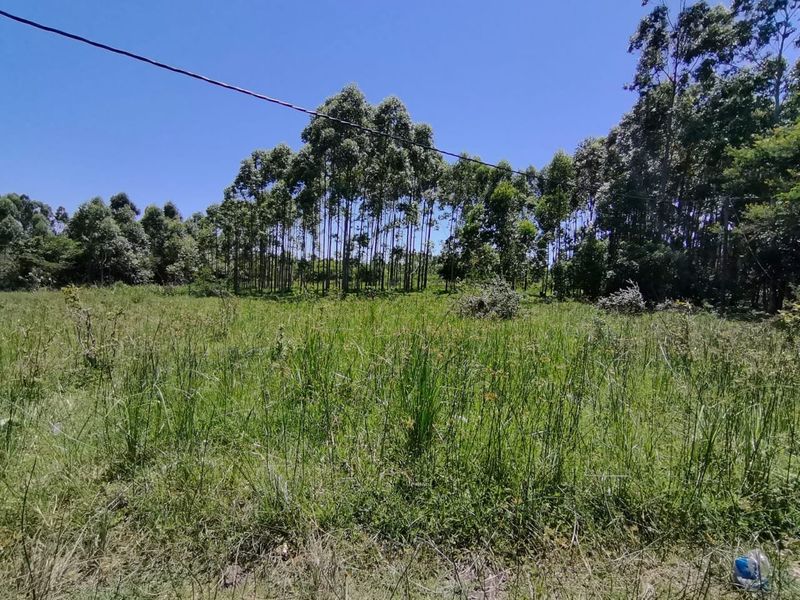 0 Bed Vacant Land in Mzingazi for Sale - Photo 9