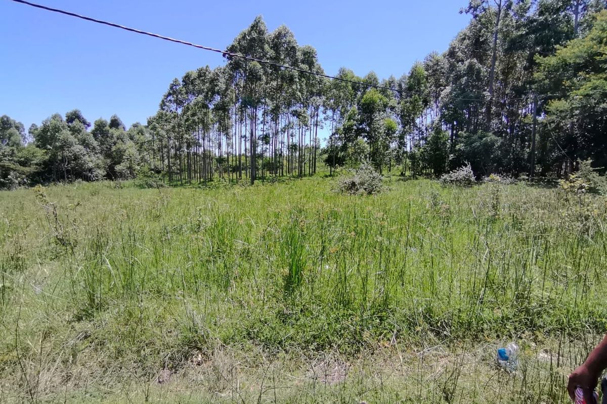 0 Bed Vacant Land in Mzingazi for Sale - Photo 5