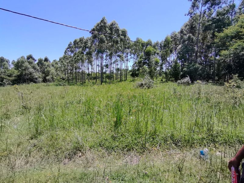 0 Bed Vacant Land in Mzingazi for Sale - Photo 5