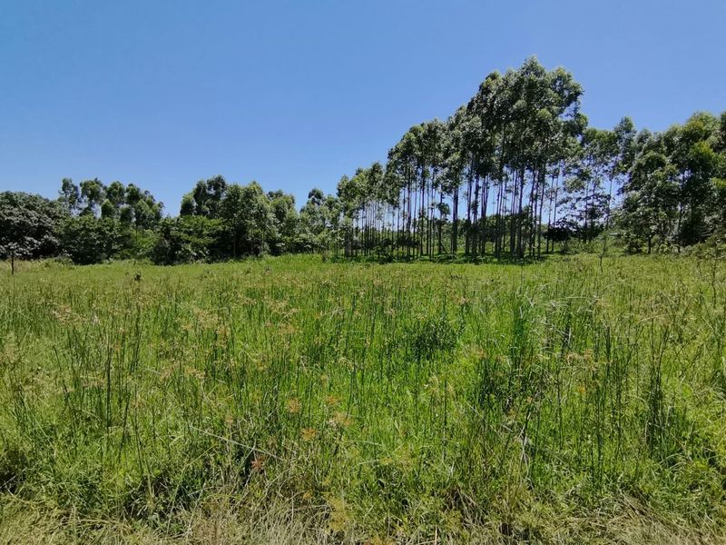 0 Bed Vacant Land in Mzingazi for Sale - Photo 8