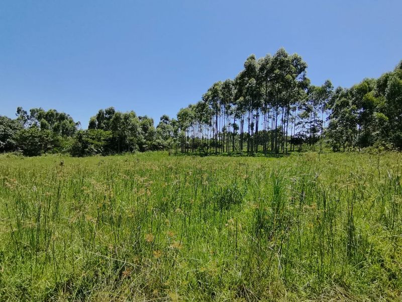 0 Bed Vacant Land in Mzingazi for Sale - Photo 7