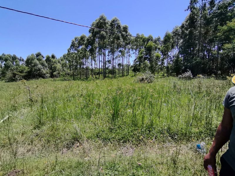 0 Bed Vacant Land in Mzingazi for Sale - Photo 6