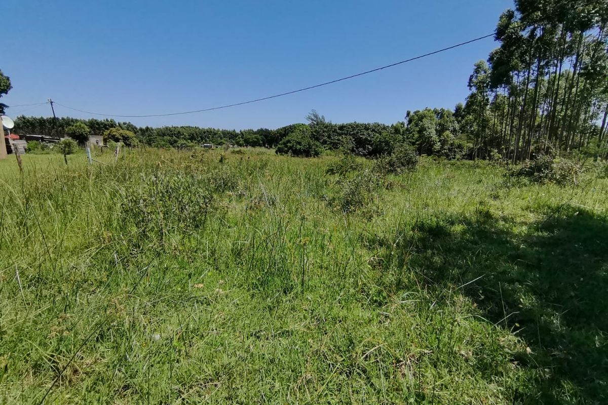 0 Bed Vacant Land in Mzingazi for Sale - Photo 2